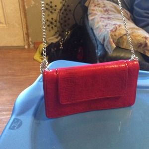 cutest clutch/handbag ever!