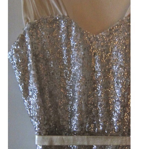 🚫SOLD! Erin Fetherston Silver Sequin Dress - Picture 3 of 4