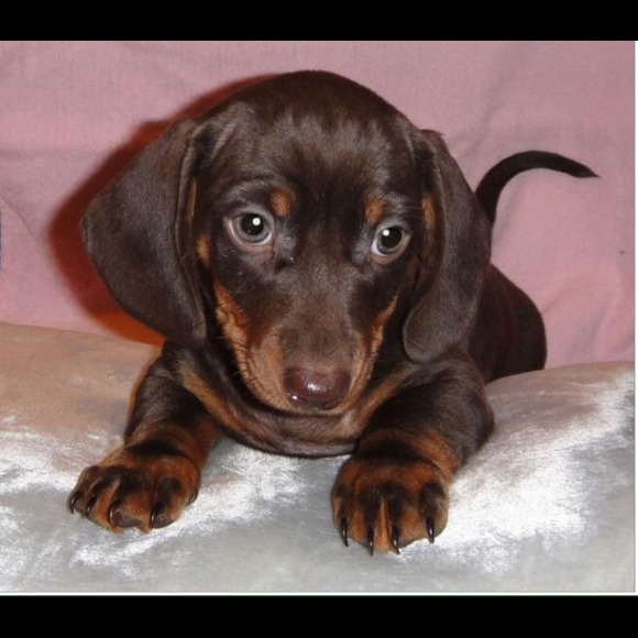 I Need a name.