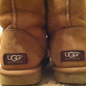 Classic Short Uggs