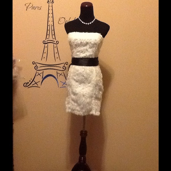 Nikibiki organza dress.
