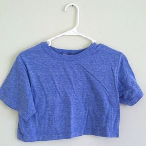 American Apparel cropped tee