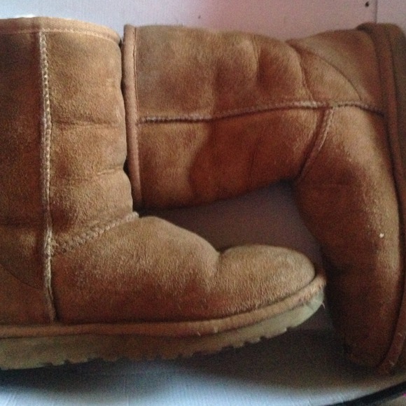 Chesnut uggs - Picture 2 of 4