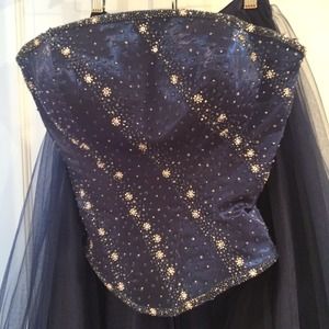 Gorgeous 2 piece corset princess gown