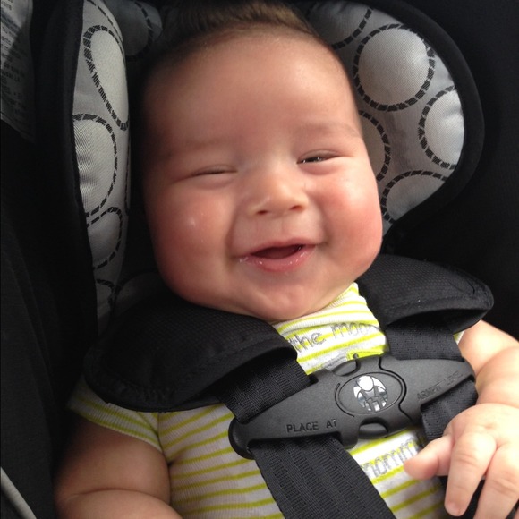 Last call for maternity clothes! - Picture 4 of 4