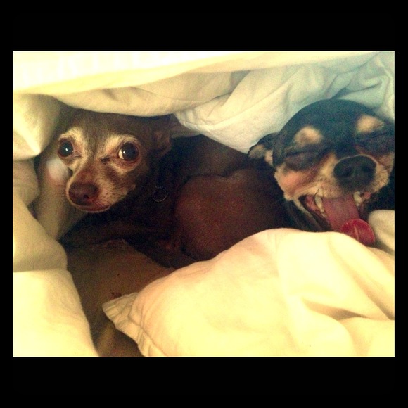 Just sharing my loves