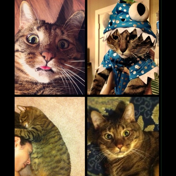 ๐ Meet the Seller/Buyer ๐ - Picture 4 of 4