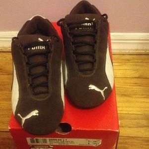 Brown and White Pumas