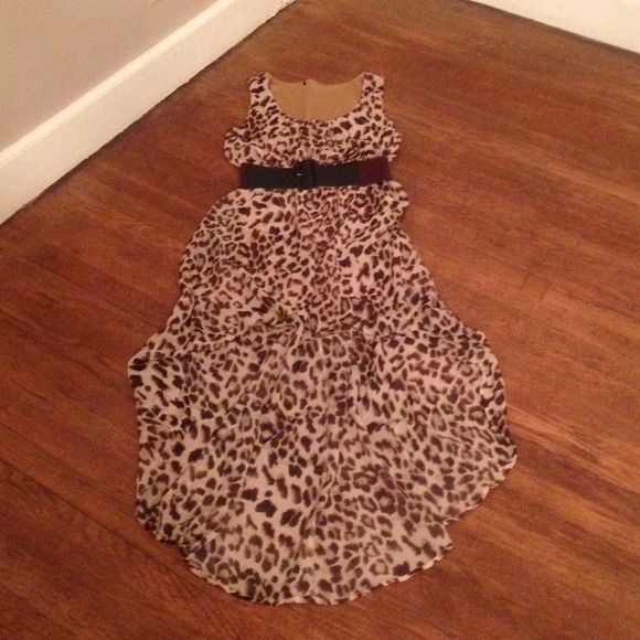 Leopard print bi-level dress - Picture 3 of 3