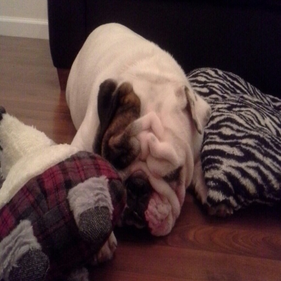 Too tired to shop!