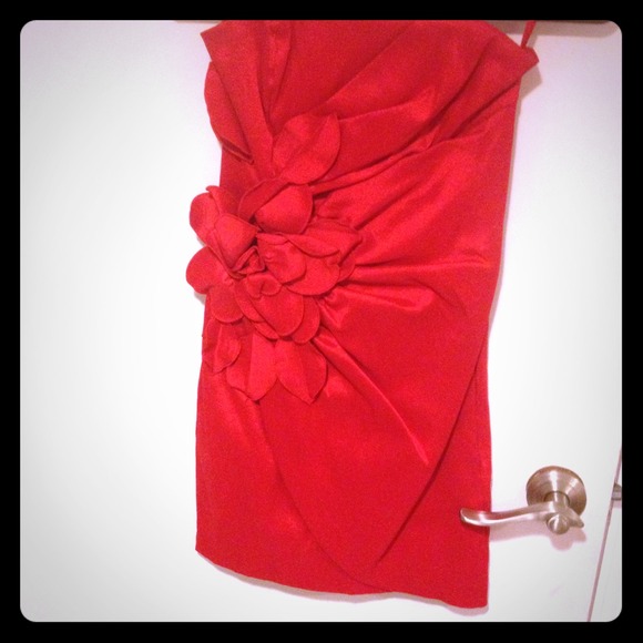 Red Cache never worn dress