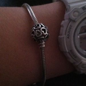 A bundle of pandora charms, $50 ☺️