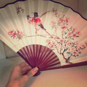 Hand Fan