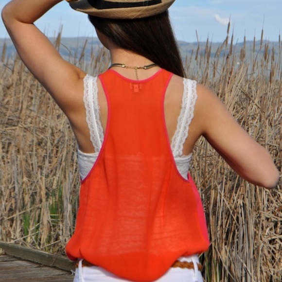 Sheer silk aritzia top - Picture 3 of 3