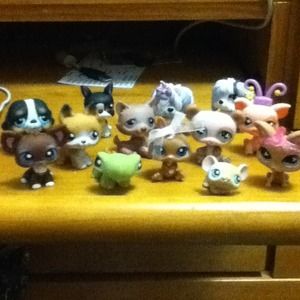 Littlest pet shops