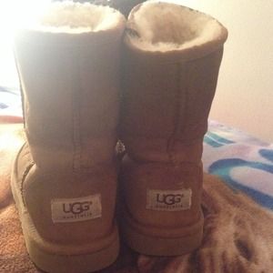 Short Chestnut Uggs