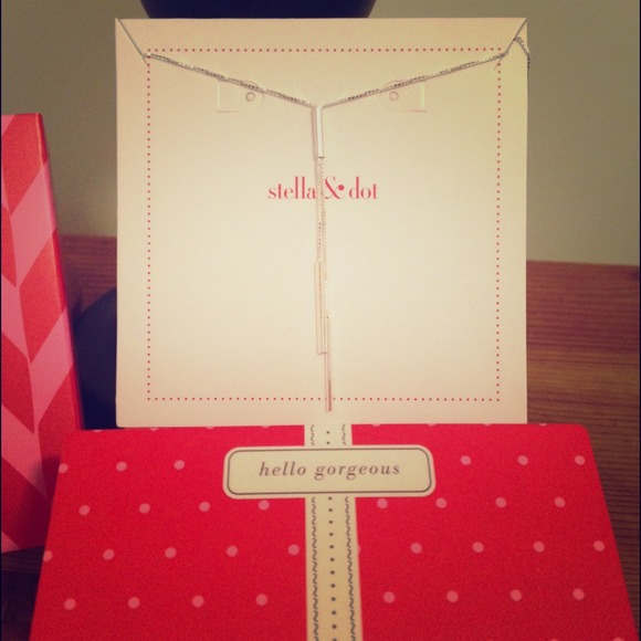 Stella & Dot Necklace