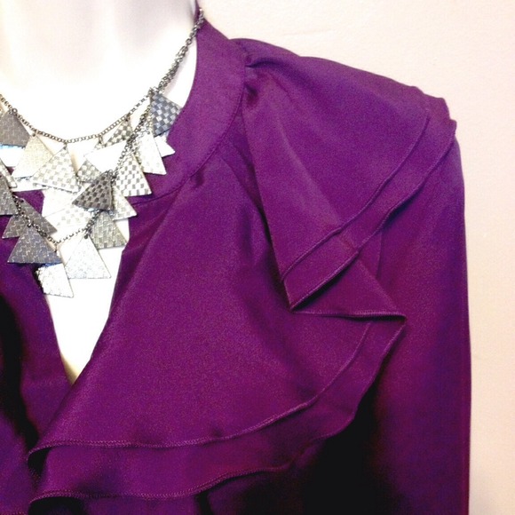 The Limited Tops - The Limited Blouse