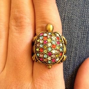 Adorable turtle locket Fossil ring
