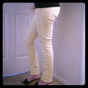 Yellow and white zebra stripes