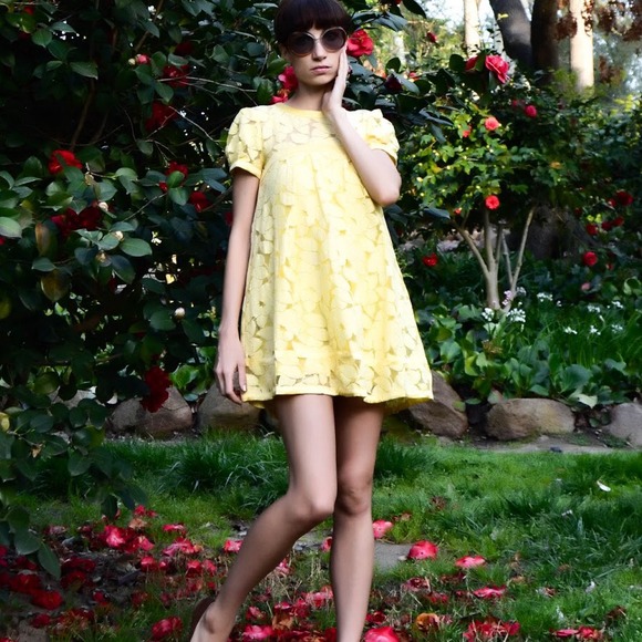 ⭐️SOLD⭐️ BEBE yellow dress - Picture 1 of 4