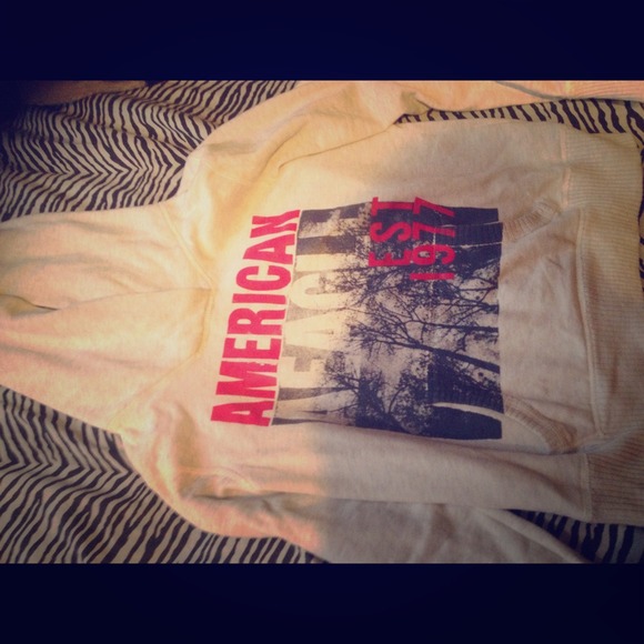 American Eagle Sweater