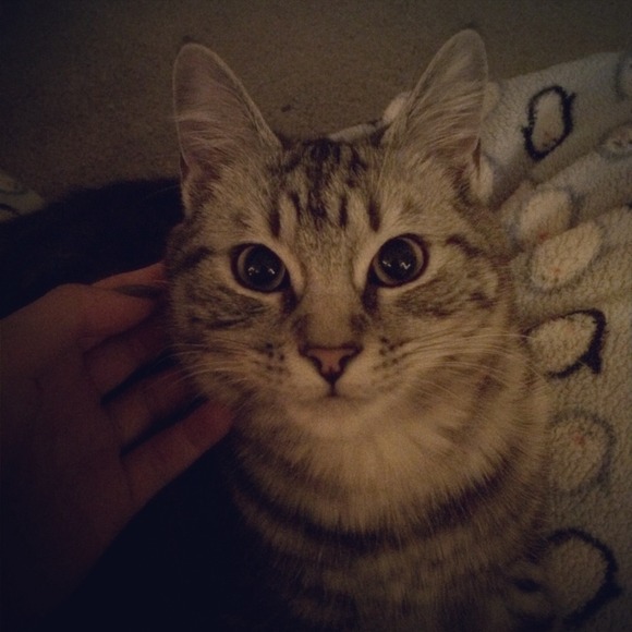 📦FEEDBACK!📦😄 - Picture 3 of 3