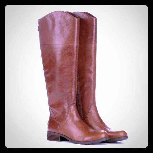 Looking for chocolate/brown riding boots
