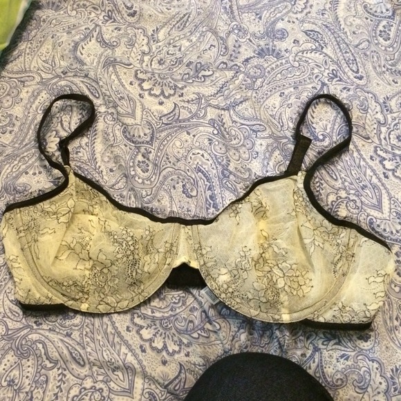 DKNY bra