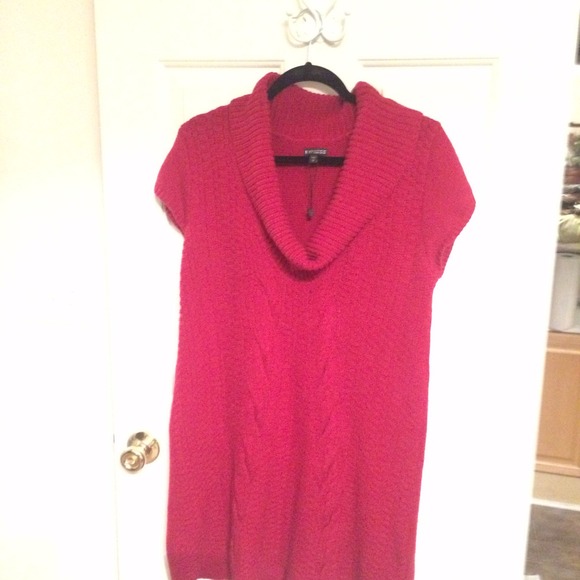 Express sweater dress.