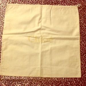 Authentic Chloé Paddington Dustbag