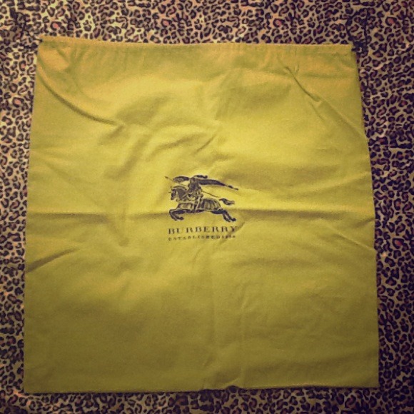 Authentic Burberry Dustbag reserved for @cart00n