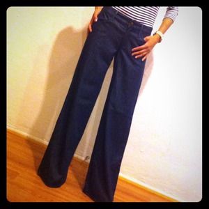Size 26 Goldsign Denim Jeans - Extra Wide Leg