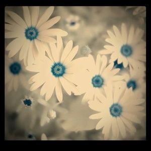 Thanks everyone (Have a great day shopping)