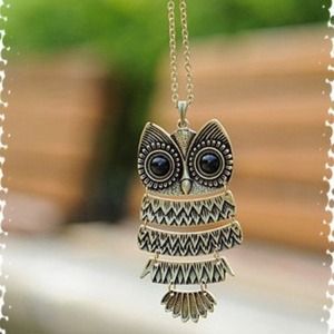 NWOT Bronze Owl Necklace
