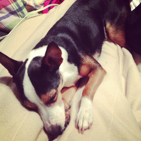 meet your fellow posher(: - Picture 3 of 4