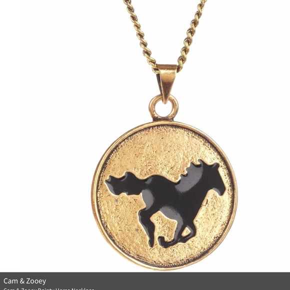 Cam & Zooey Dainty Horse Necklace.