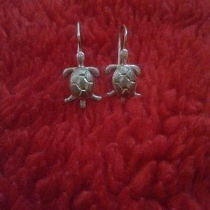 Turtle Earnings :):):)