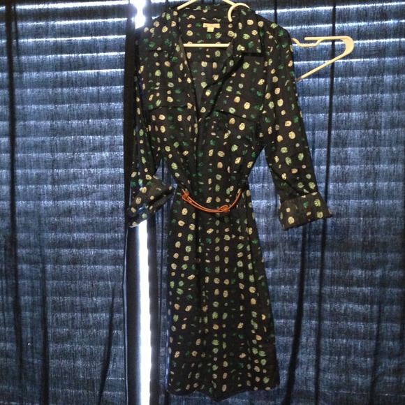 Ladybug button down dress