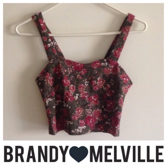 Brandy Melville Tops - Brandy Melville Crop Top!
