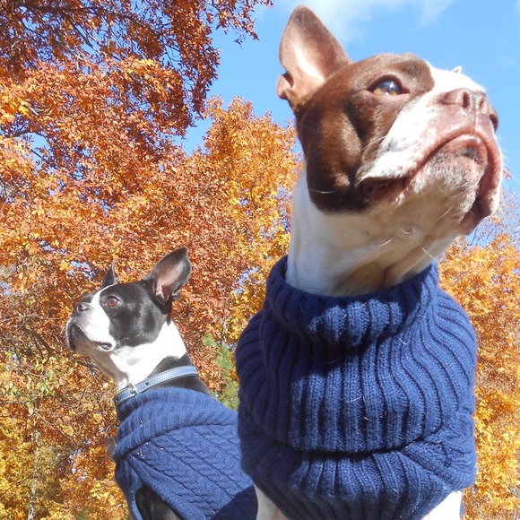 A Little About Me~ - Picture 7 of 7