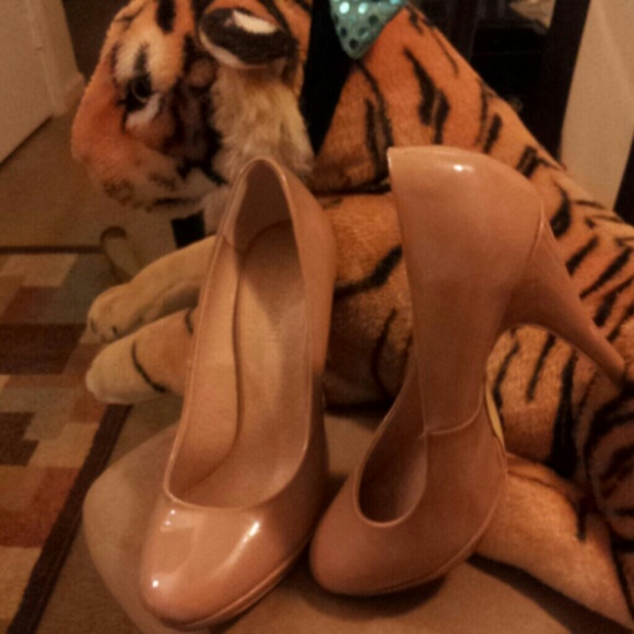 Colin Stuart - Picture 3 of 3