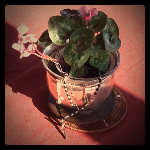 Visit my closet!I love offers! My stuff has to go!