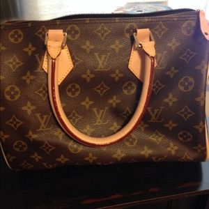 Lv speedy style bag