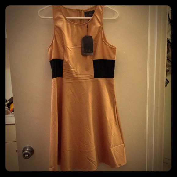 BRAND NEW PJK Nude/Leather Dress