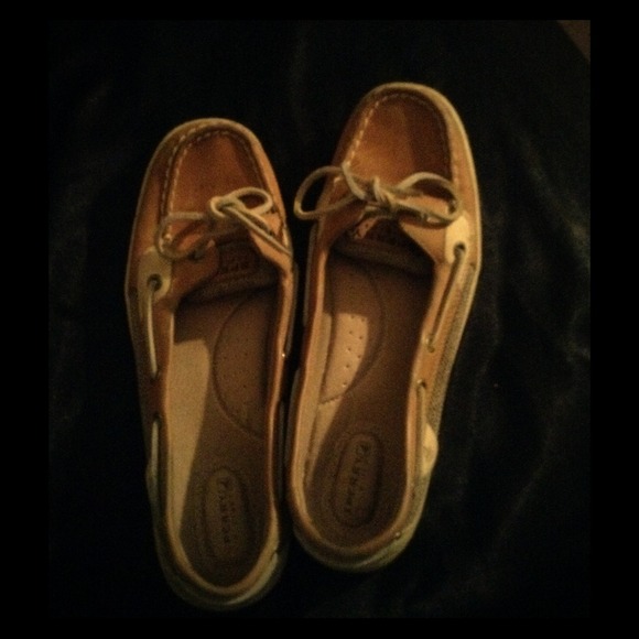 Angel fish sperrys
