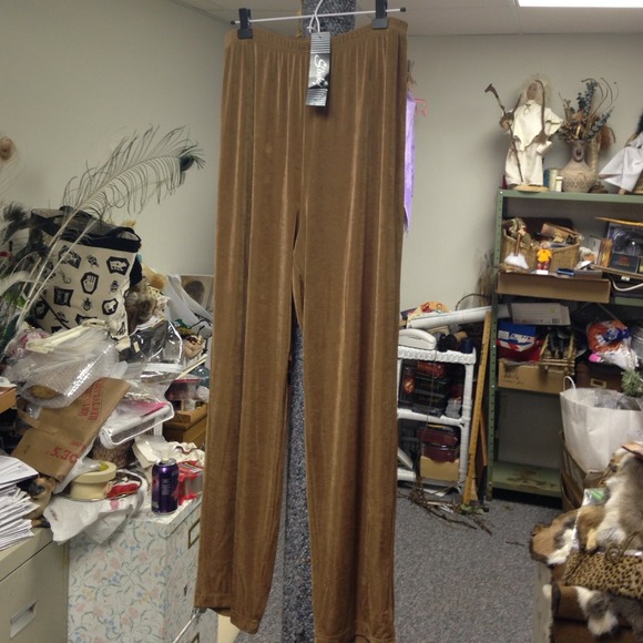 Golden Brown Shimmer Pants