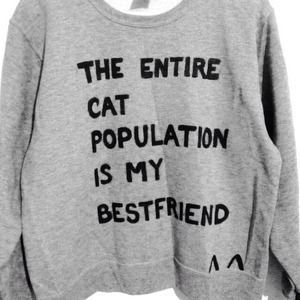 The Entire Cat Population is my Bestfriend Sweater