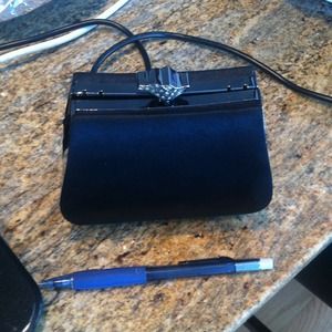 Little Black Dressy Purse/Clutch