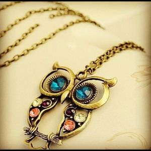 Brand NEW owl necklace